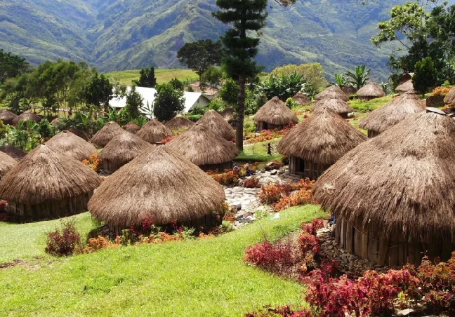 North East Group Tour Packages